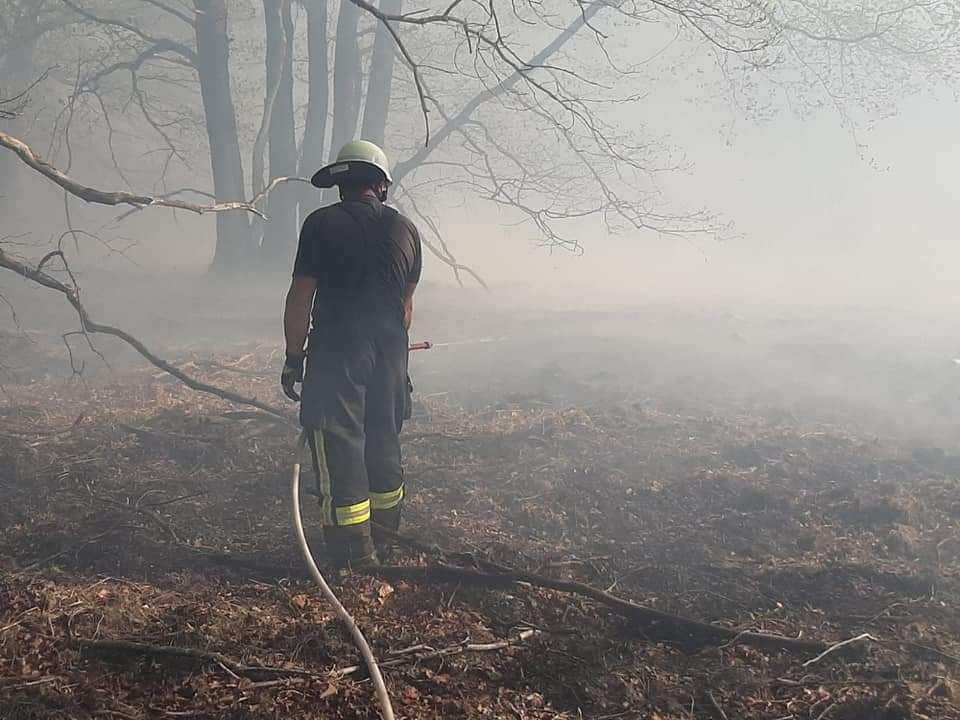 Einsatzkraft der Feuerwehr Wassenberg bei Löscharbeiten bei einem Waldbrand.