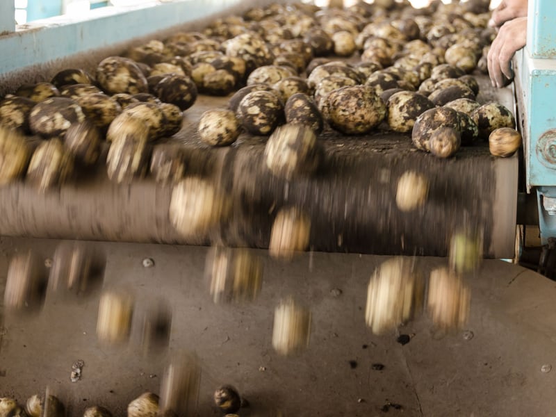 2019-12-02-produktrueckruf-supermarktkette fallen-eggs-from-conveyor-2255804.jpg